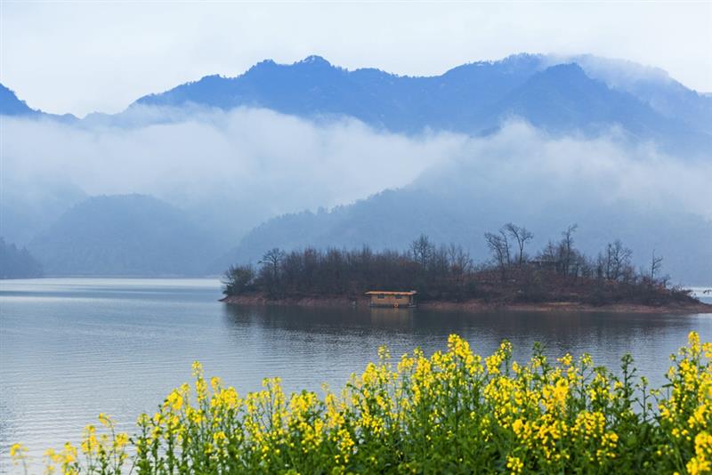 拍摄地点: 浙江  拍摄时间: 2015-03-03  作品       千祥云集