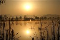 芙蓉湖的早晨