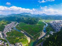临岐揽胜
