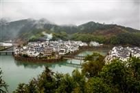 《美丽下姜》