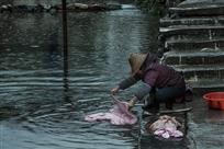 雨中洗衣妇