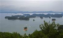 “鱼”游仙岛