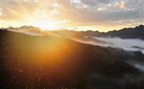日出柳塘