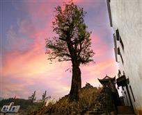《狮城记忆》