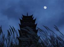 《狮城苍桑》