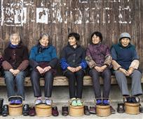 《五朵金花》