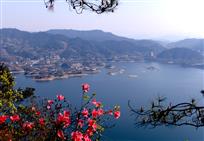 荒岛变美景