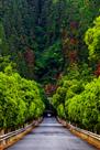 最美环湖路
