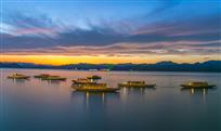 夕下夜景