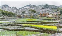 春雪