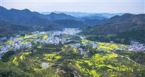 花海乡村