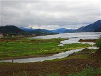 白象湾湿地