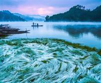 霜降人间