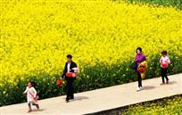 采摘归来