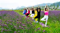 花海伽人
