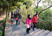 龙山游