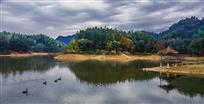 龙川天鹅湖