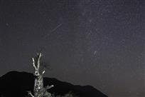 《繁星如许》