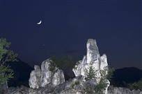 《石林月夜》