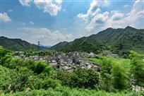 美丽结蒙