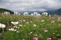 花园城