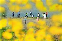 花中湖畔