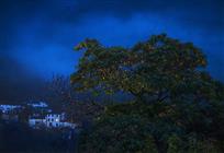 【雨夜】