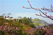 春光山色