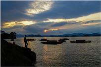 垂钓夕阳中