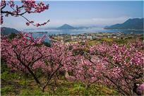 春天里
