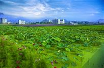 花伴山城