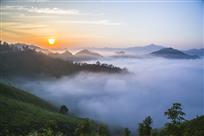 临岐雾海