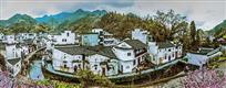 春到芹川