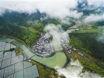 仙境下姜