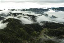 千岛流雾
