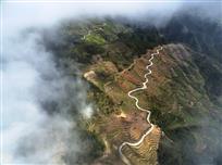 山路弯弯