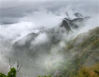 鸟语水碓山