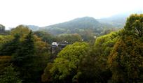 大山深处有人家