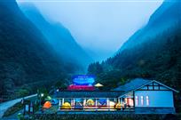 山村的来客