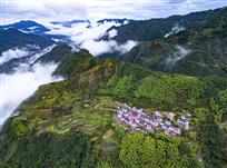 高山人家