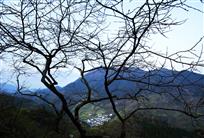 《大山深处有人家》