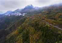大山里的致富路