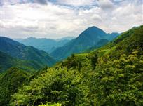 看看山