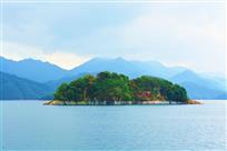 荒岛丽景