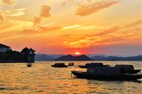 夕阳红