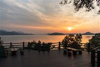 夕阳红