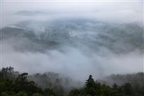 大墅雾景