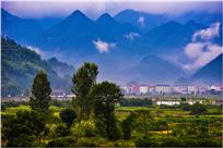 雨后即景