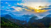 绿园晨曦