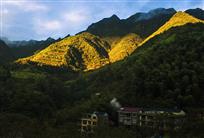 那一抹晨光